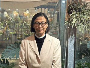 ���y�����ĤT�N�b����Բ��A2026�~GaN�Ұ��X���ASiC����12�T�����Ǿ�